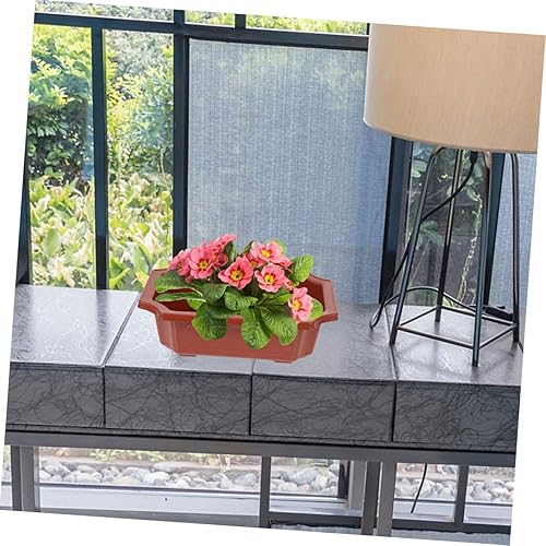 Miniatura 8 de Yardwe Macetas de plantas de aire para plantas suculentas, maceta de cactus, maceta para suculentas, maceta para suculentas, maceta de bonsái,