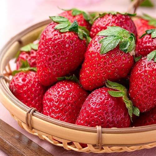 [先行予約]和歌山県 オリジナル まりひめ イチゴ4パック入り(3L〜L寸)