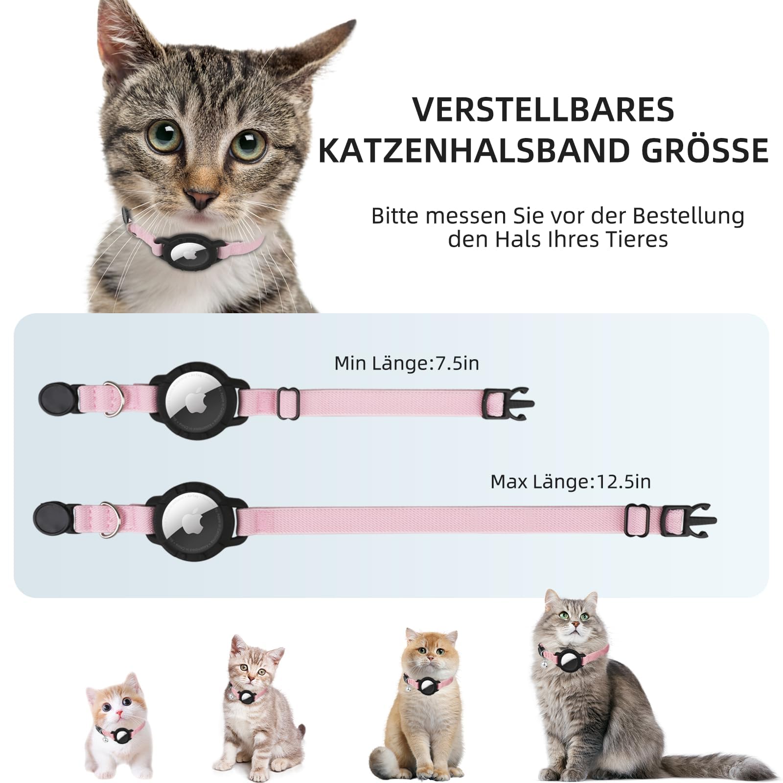 View 6
