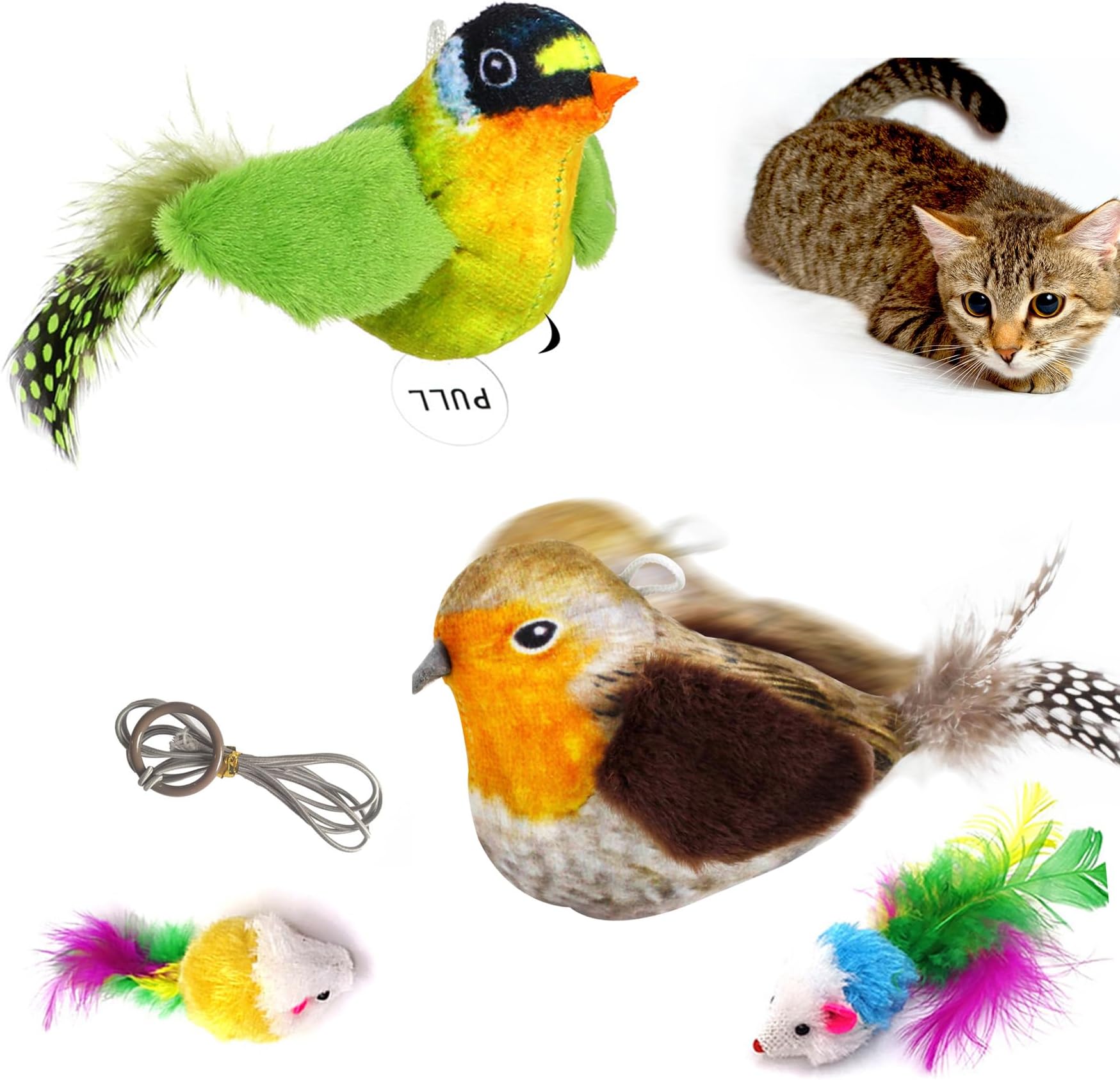 SLE 2 PCS Cat Toys for Indoor，Interactive Cat Toy with Real Chirping Bird Electronic Sound，Wall Mounted Cat Toys, Contains Catnip, Stimulating the Hunting Nature of Cats