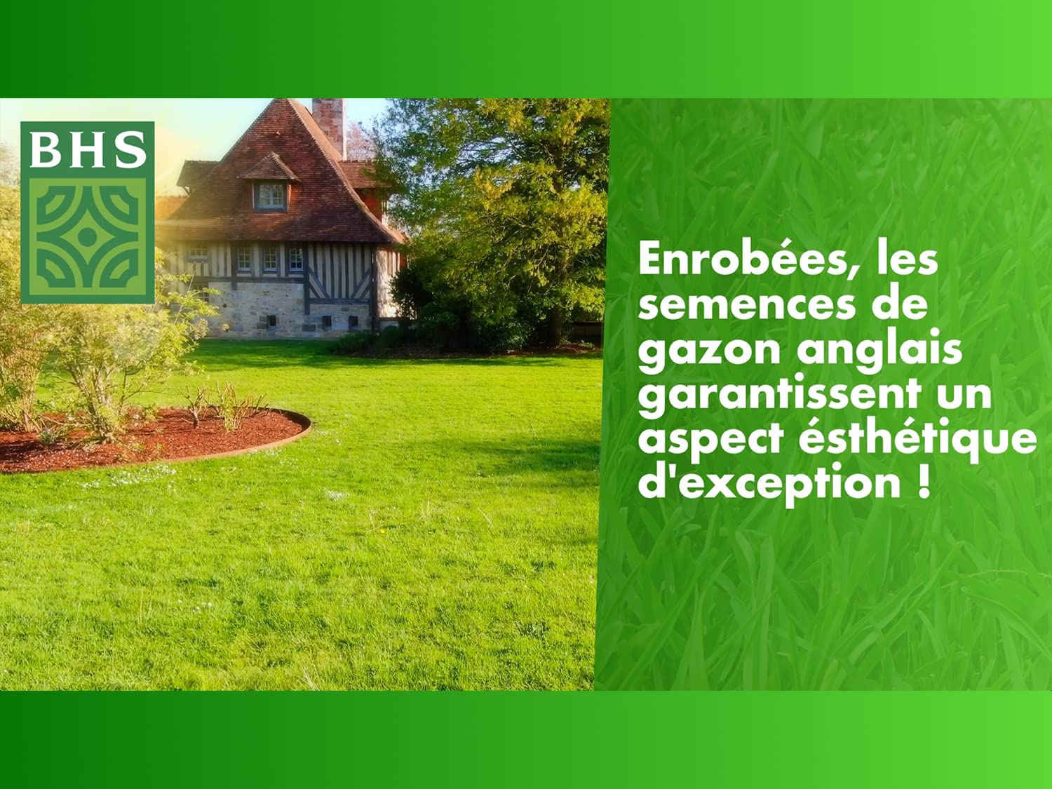 BHS GDP10 | 10kg | 465 m² | Gazon Anglais | Destiné aux jardins haut de gamme | Met en valeur l’environnement des belles propriétés |, Blanche