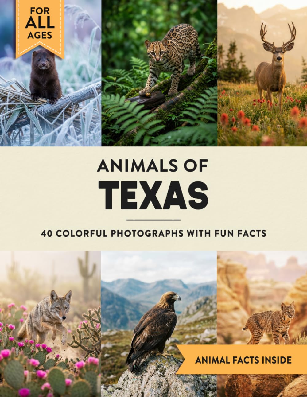 Animals of Texas: Learn All About Lone Star State Wildlife in a Fun Fact Picture Book for Kids and Adults