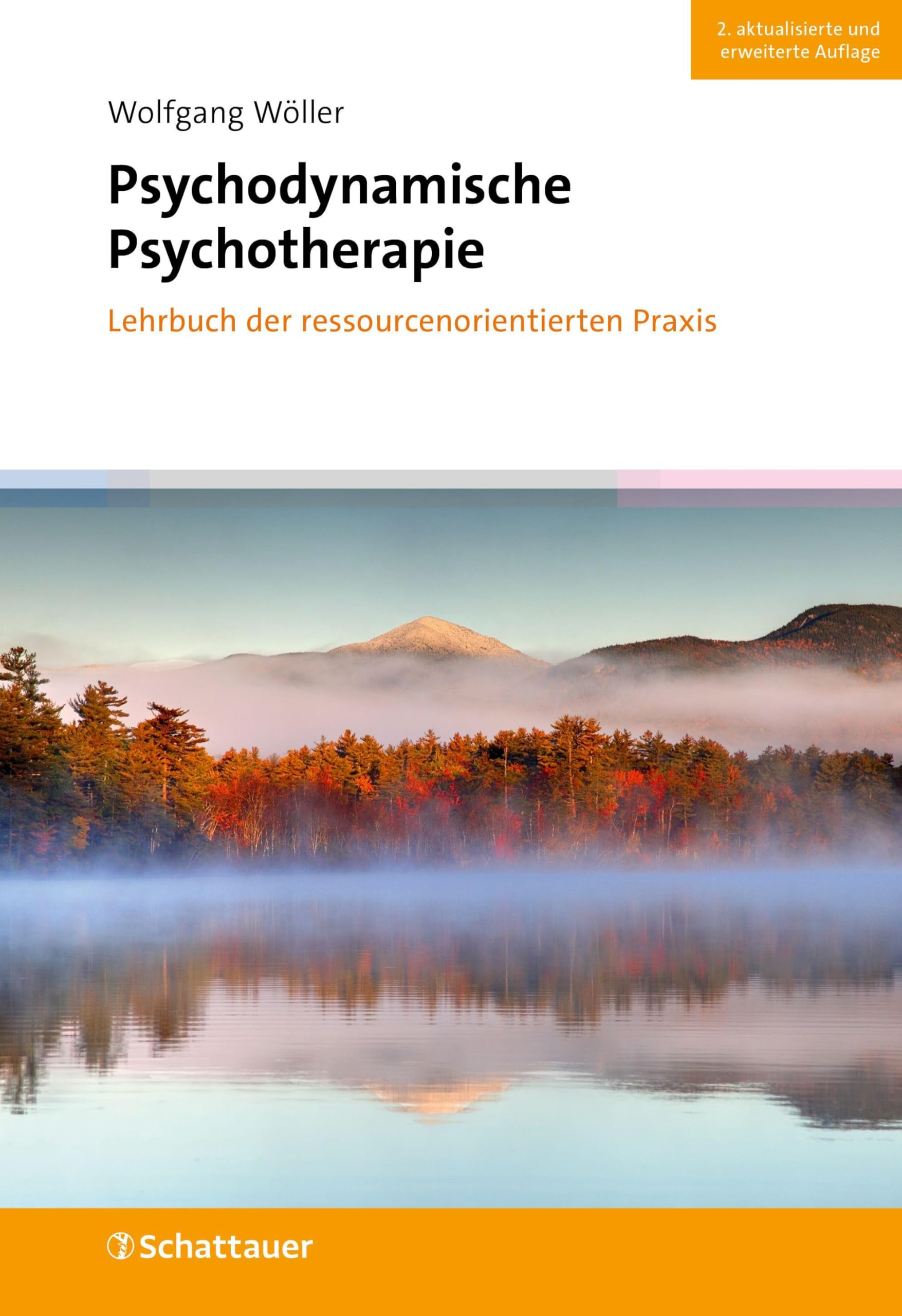 Psychodynamische Psychotherapie: Lehrbuch der ressourcenorientierten Praxis