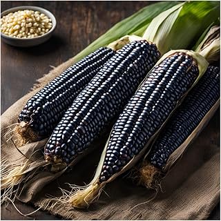 Brownie Brand Ohio Blue Clarage Corn - Premium Heirloom, Non-GMO, Blue Flint Corn for Milling, Baking, and Traditional Dishes - Rich in Flavor, Nutritious, Ideal for Cornmeal, and More. (Packet)