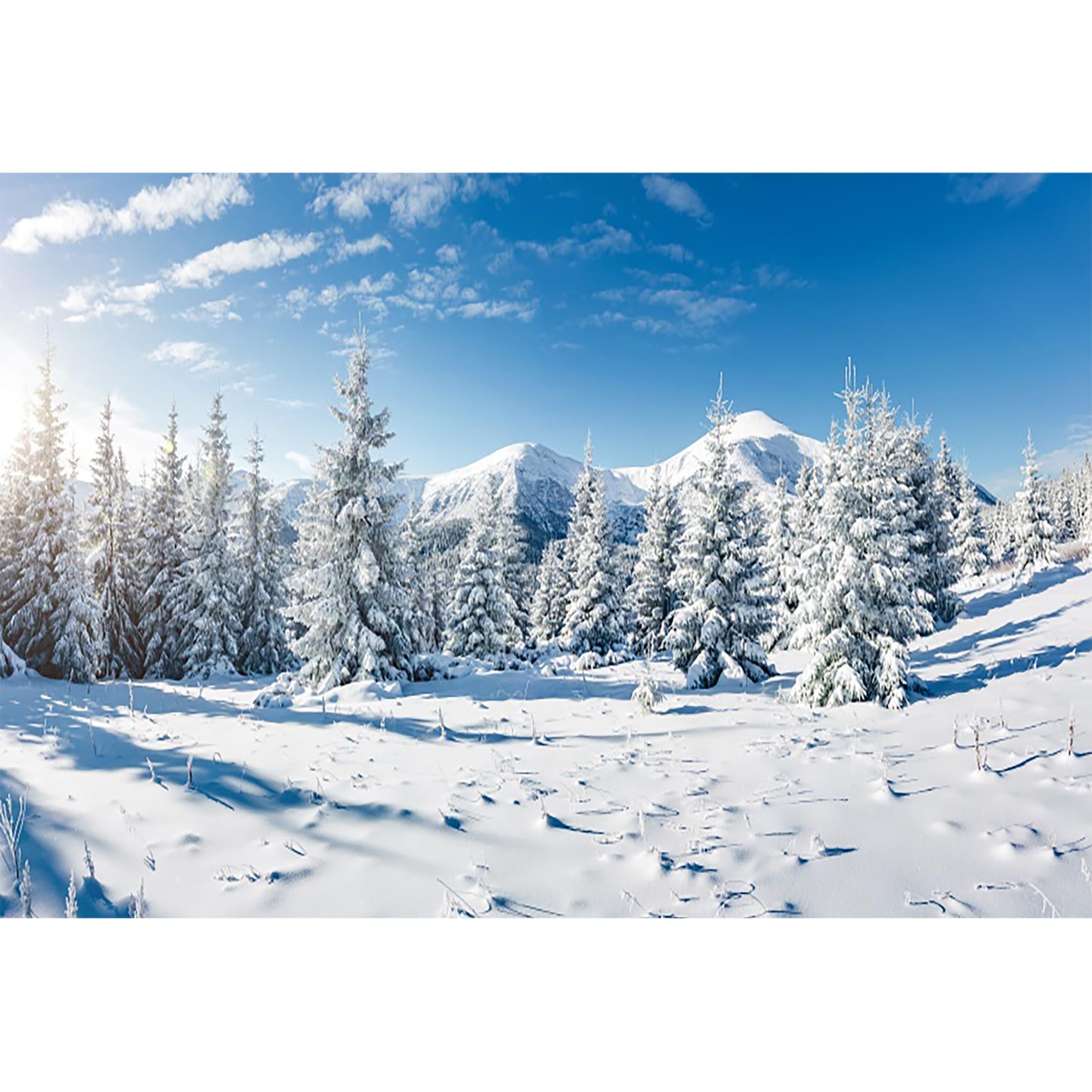 MIRRORANG 2,2x1,5m Christmas Wall Art Winter Forest Landscape Backdrop Outdoor Snow Scene Pine Tree Frozen Wall Decor Background for Photography Xmas Photo Backdrop Vinyl