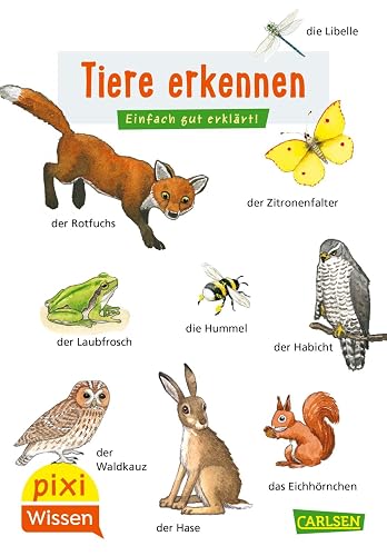 Pixi Wissen 30: Tiere erkennen: Einfach gut erklärt! | Allgemeinwissen für Grundschüler. (30)