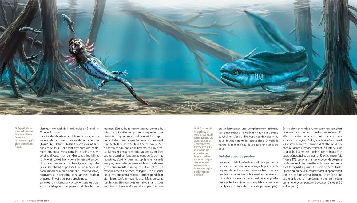 REQUINS: De la préhistoire à nos jours