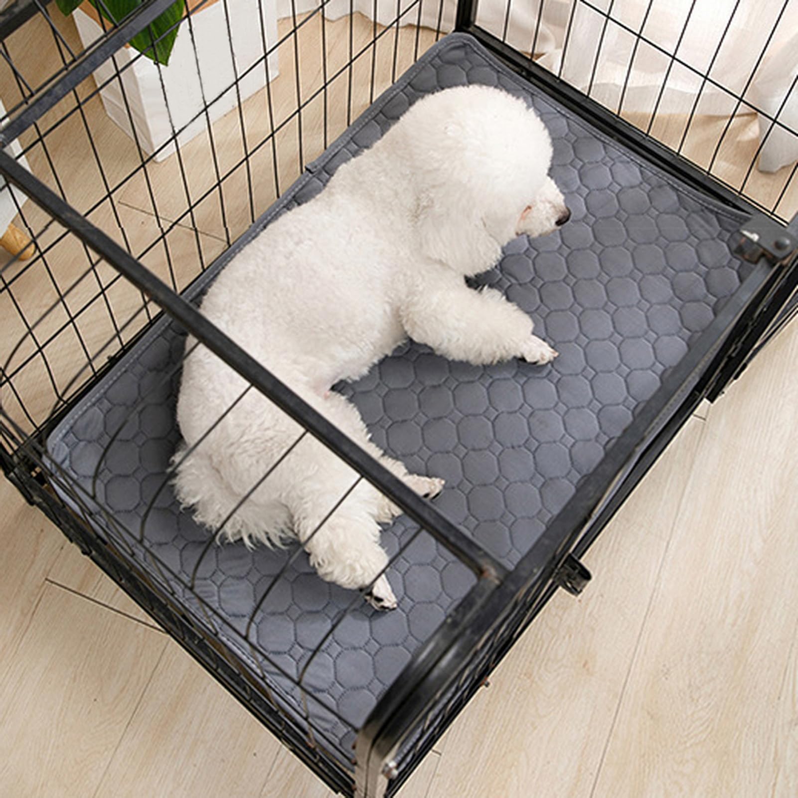 Almohadillas de Entrenamiento Reutilizables Lavables Superabsorbentes Antideslizantes Impermeables para Perros Gatos Conejos Verde, 90 x 150 cm