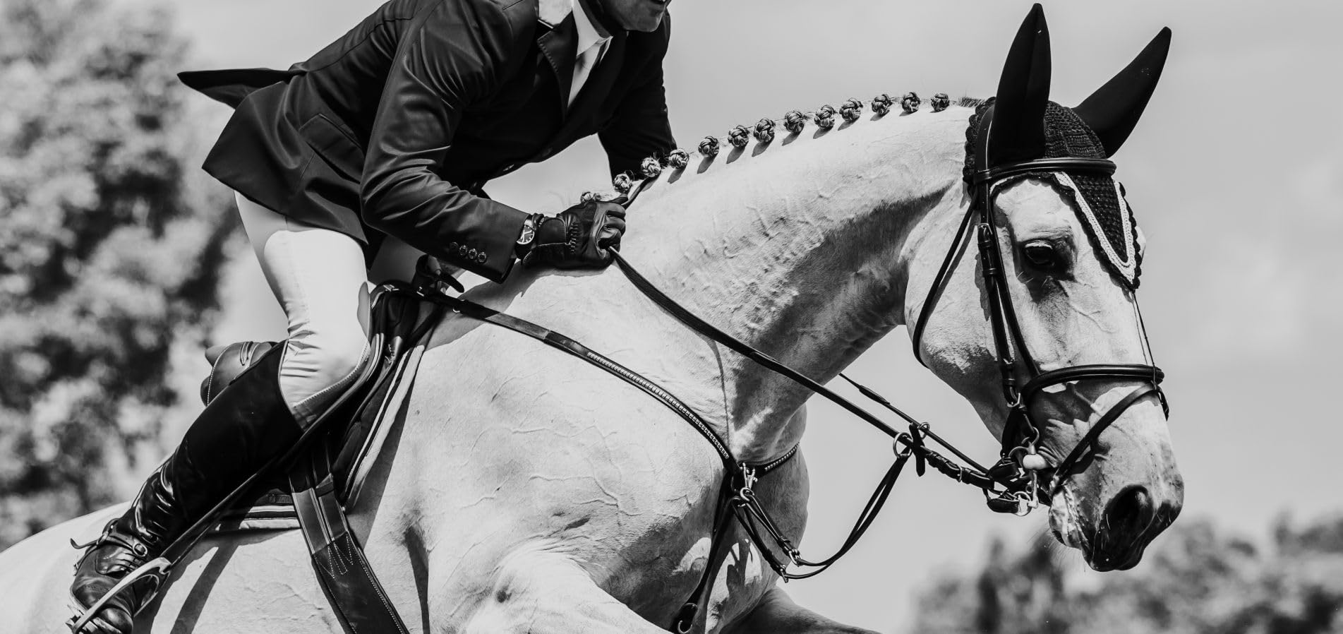 Maktuk Horses | Naturalny przeciwświądowy, regenerujący balsam na włosia i ogona, szybkie łagodzenie swędzenia i podrażnienia | Pomoc w regeneracji włosów