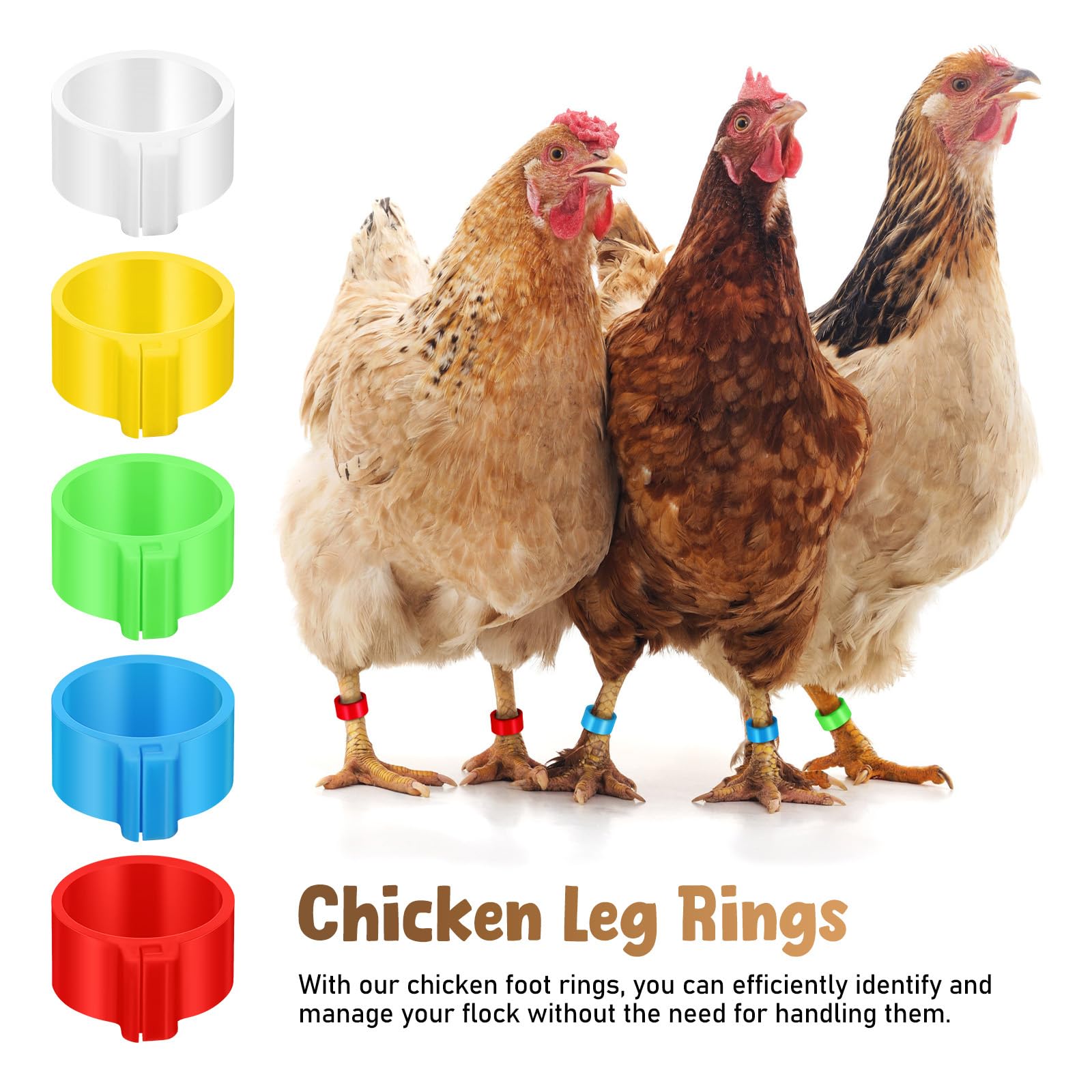 BESPORTBLE Chicken Leg Rings 30Pcs 0.63 Inch Clip-on Poultry Identification Bands for Chickens Ducks Geese Pigeons Multi-Colour Leg Bands for Efficient Flock Management - Image 2