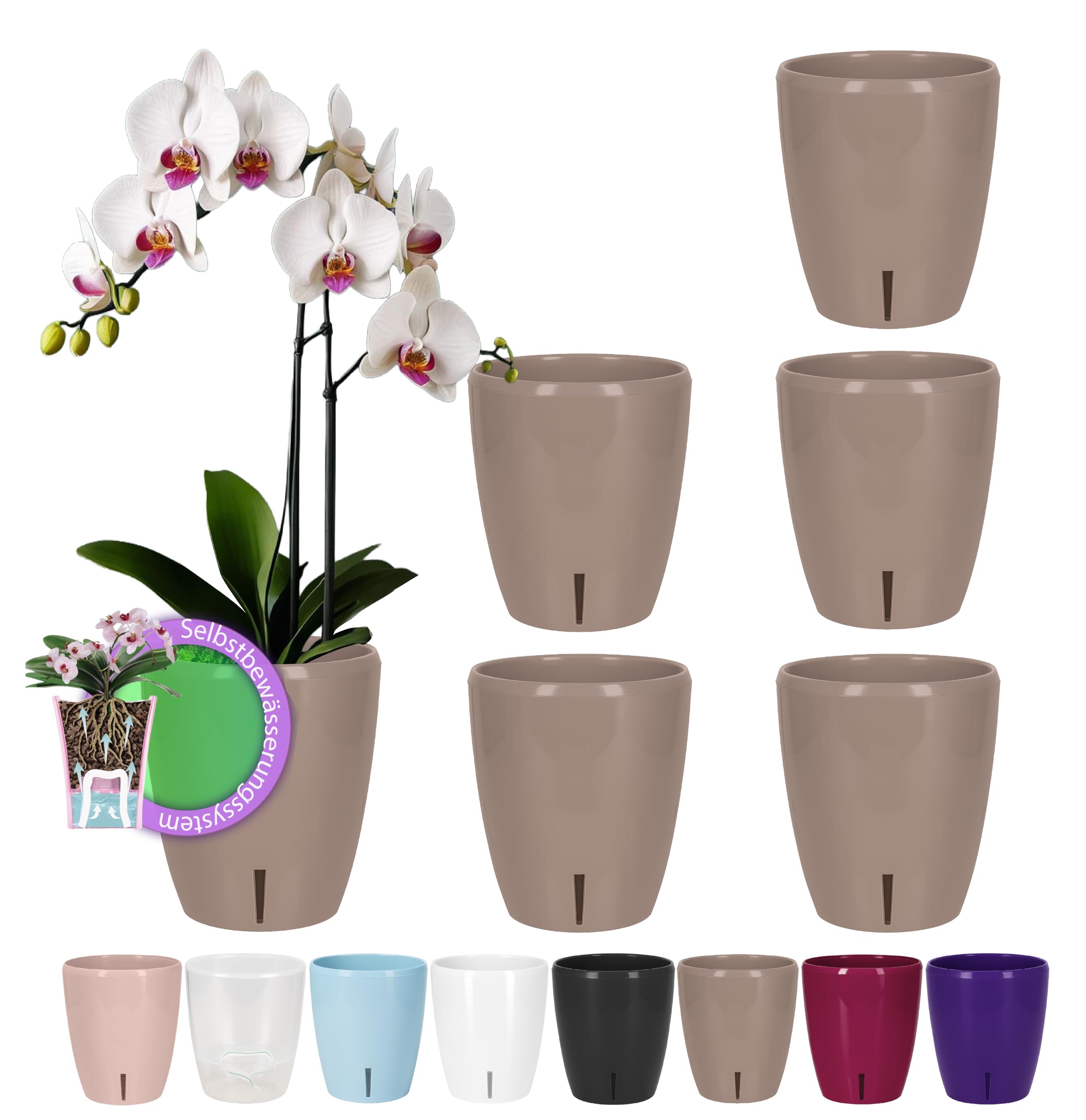 Santino Maceta para Orquídeas Ø 12cm Maceta Autorriego con Sistema de Mecha e Indicador de Nivel de Agua para Interior (Ø 12cm - 1,3L - Transparente) — view 25