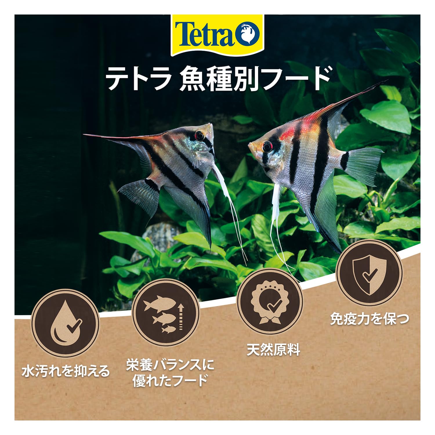 テトラディスカス(300g)2個セット Amazon | テトラ (Tetra) テトラ ディスカス 300g× 2個セット 熱帯魚