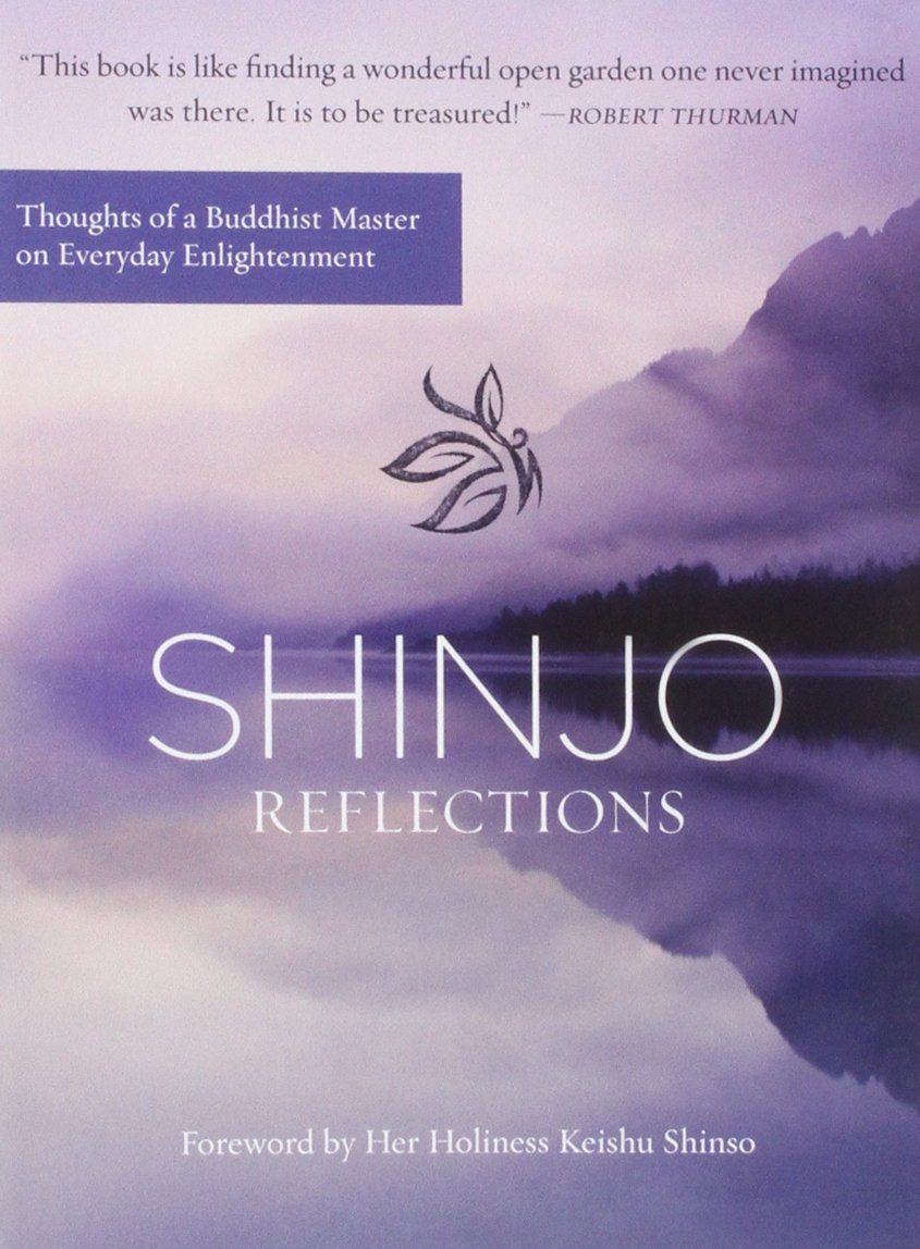 Shinjo: Reflections