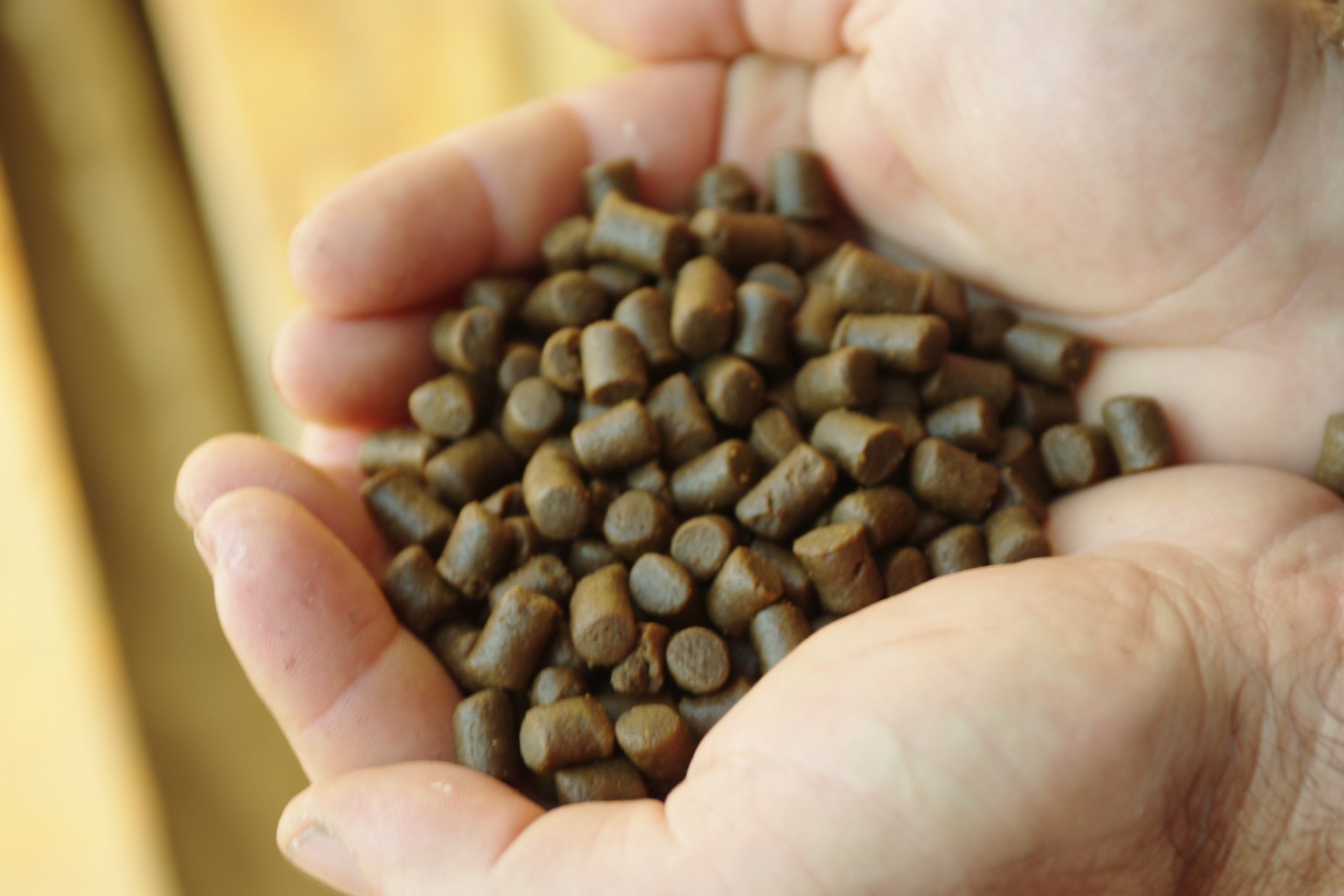 Pellet Affondante 8mm Per Pesci - Mangime O Esca Per Pesca Sportiva Da 25kg - Foto 2