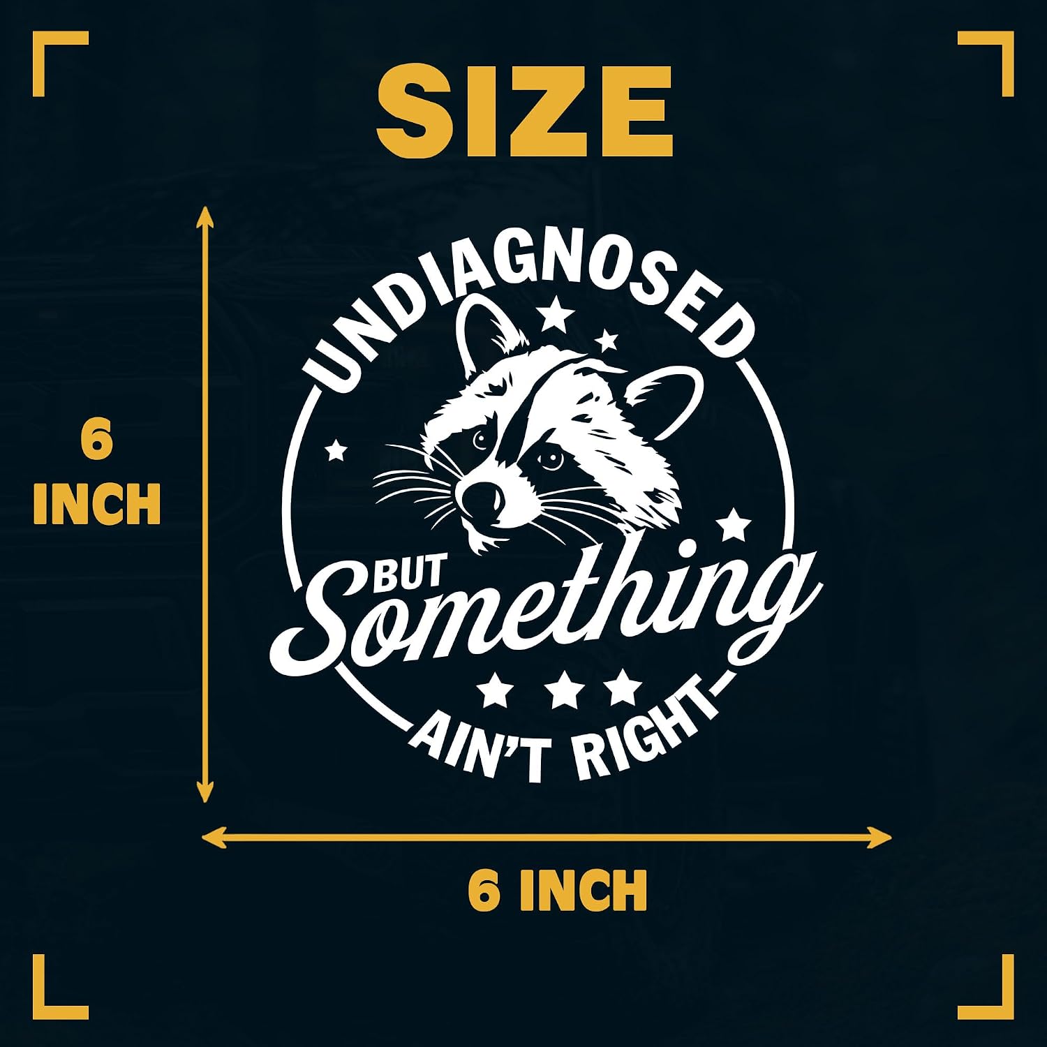 Undiagnosed But Something Ain't Right Car Decal Funny Raccoon Cute Sticker for Car Window Bumper Truck Mental Health ADHD Decals Vinyl Waterproof 6 Inches Car Accessories Stickers Gift for Mom Dad image 5