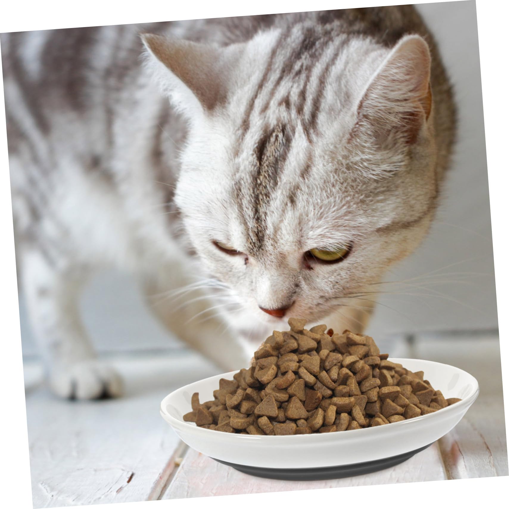 Katzennäpfe aus Keramik mit Rutschfestem Boden, Beige