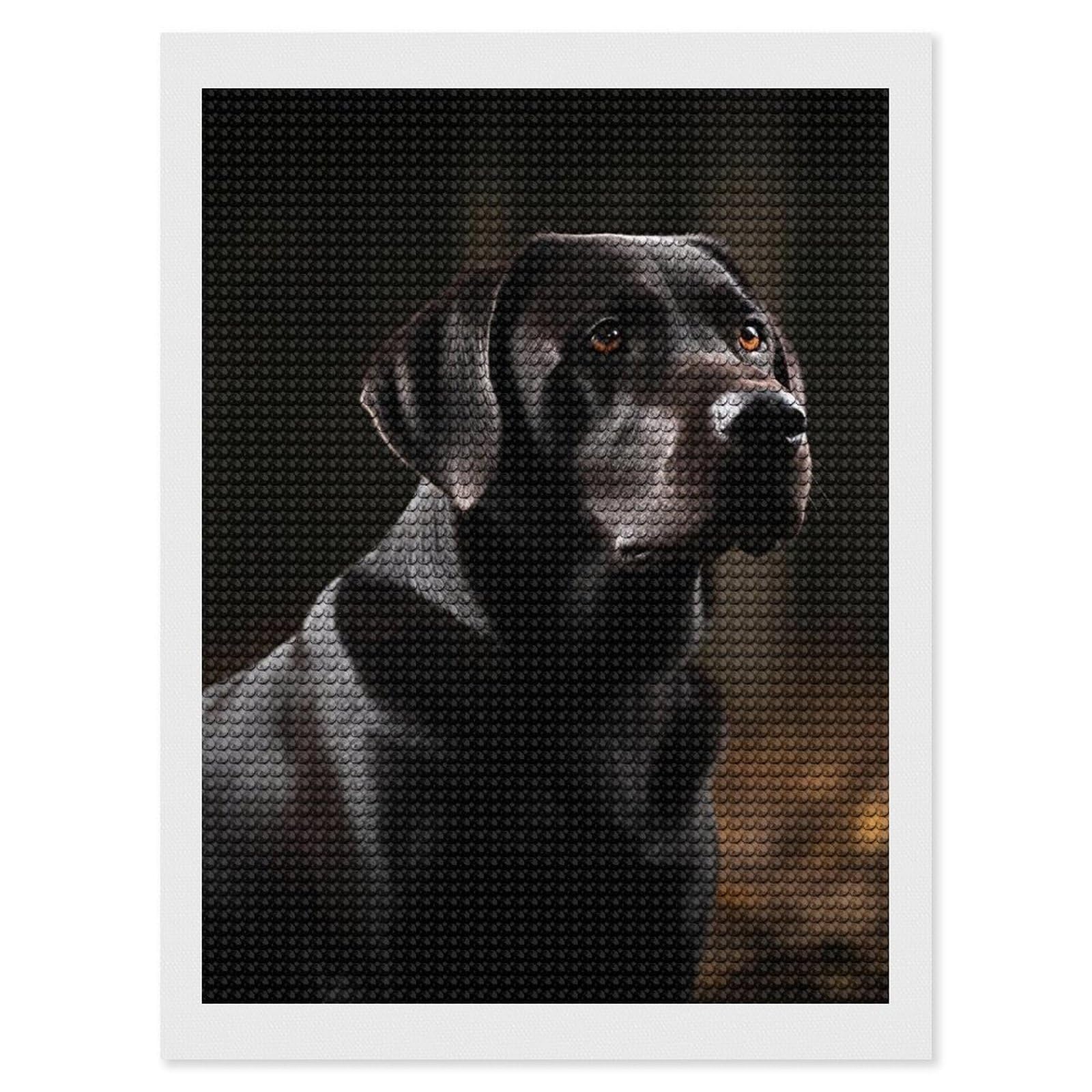 FodPand Diamond Art Kits for Adults, 5D Aurora Diamond Painting Kits for Beginners, Black Labrador DIY Full Drill Dots Gem Art Paint Crafts for Home Wall Decor 12"x16"