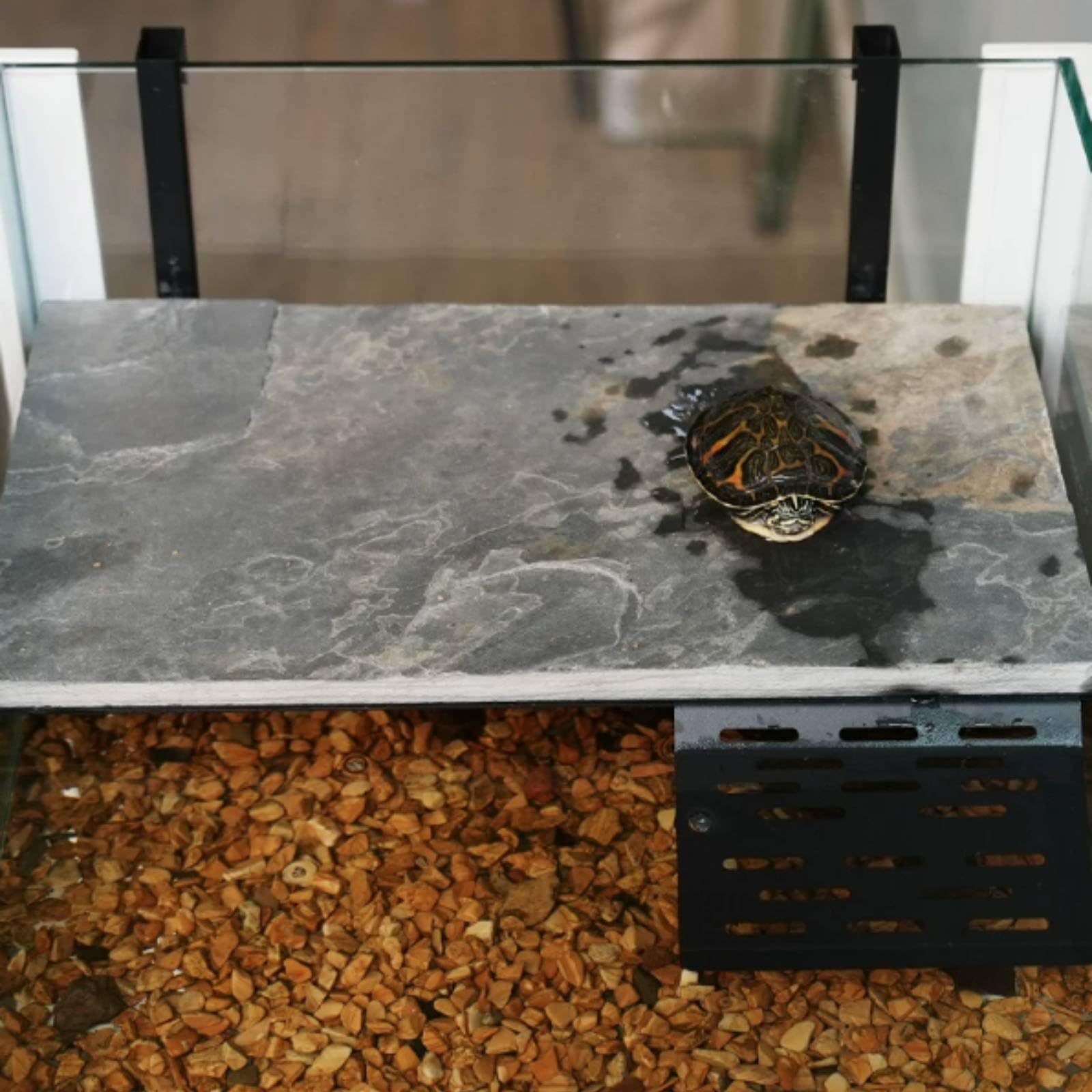 hängende Schildkrötenplattform leicht zu befestigen Schildkröten- Sonnenplatz rutschfest basking Plattform für Aquarium, Groß, Verbesserter Ausbruchschutz