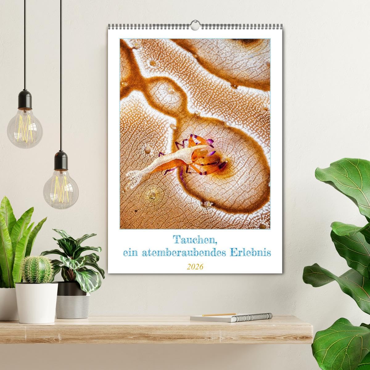 Tauchen, ein atemberaubendes Erlebnis (Wandkalender 2026 DIN A2 hoch), CALVENDO Monatskalender: Die Kalenderseiten sind mit atemberaubenden Bildern ... Tag in eine andere Welt eintauchen lassen.
