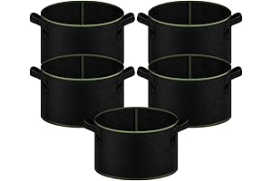 Durable Green Grow Bags for Abundant Veggies