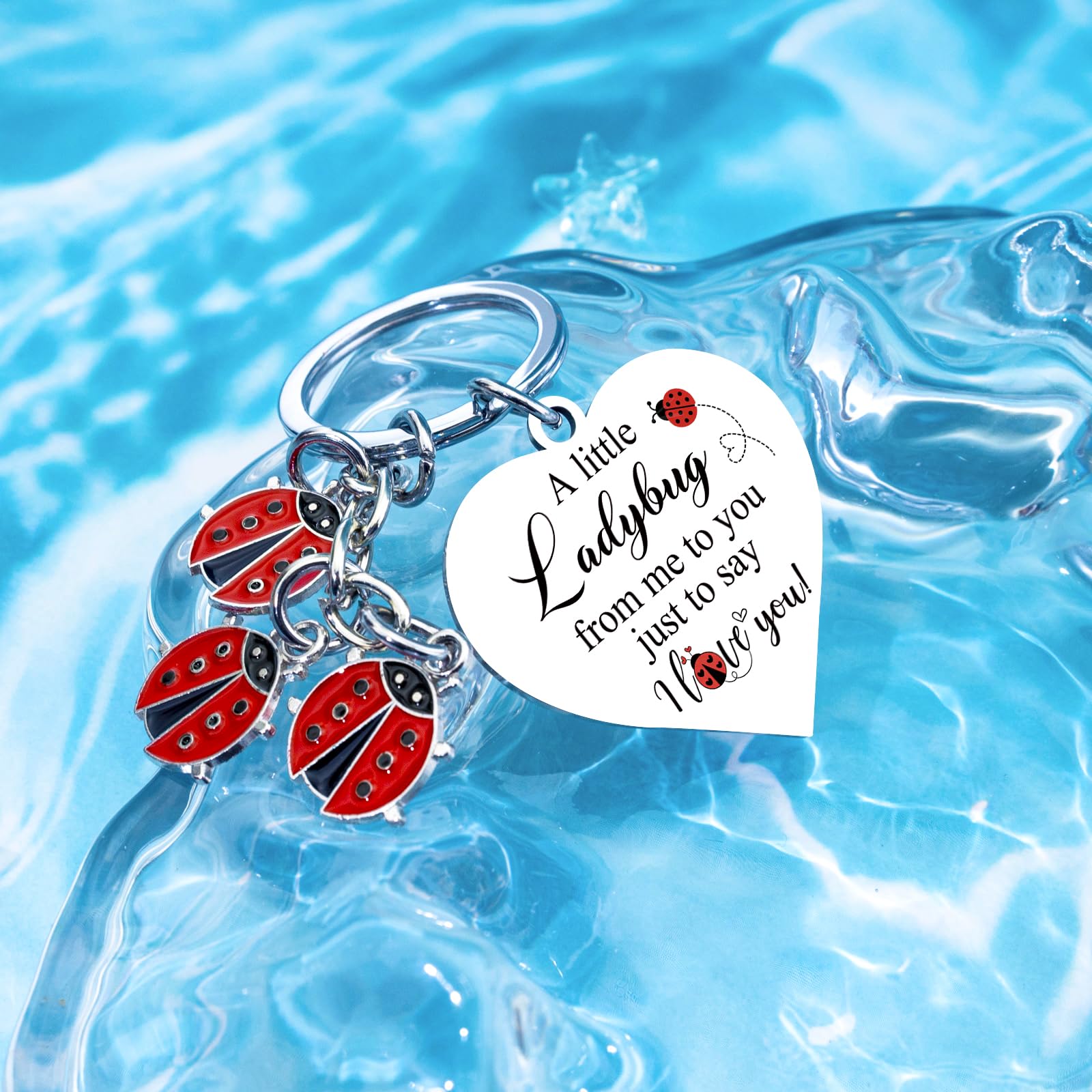 Lady Bugs Keychain Ladybug Gifts For Women Romantic i Love You Gifts For Her Birthday Anniversary Valentines Gift For Girlfriend Mini Ladybugs Keychain For Girlfriend Gift For Ladybug Lovers