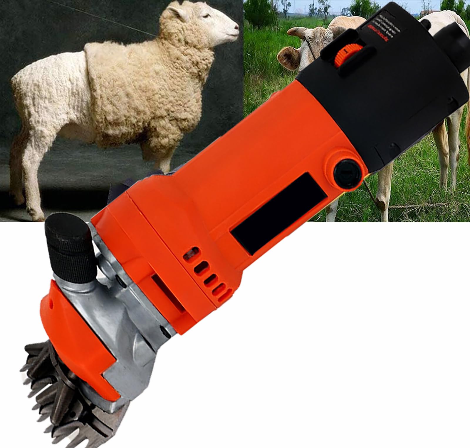 Cesoie Elettriche per Pecore da 850 W, Forbici per Lana Professionali, 2400 Giri al Minuto per Un Lavoro Efficiente, 6 Livelli Regolabili, Dissipazione del Calore Efficiente, Impugnatura Comoda