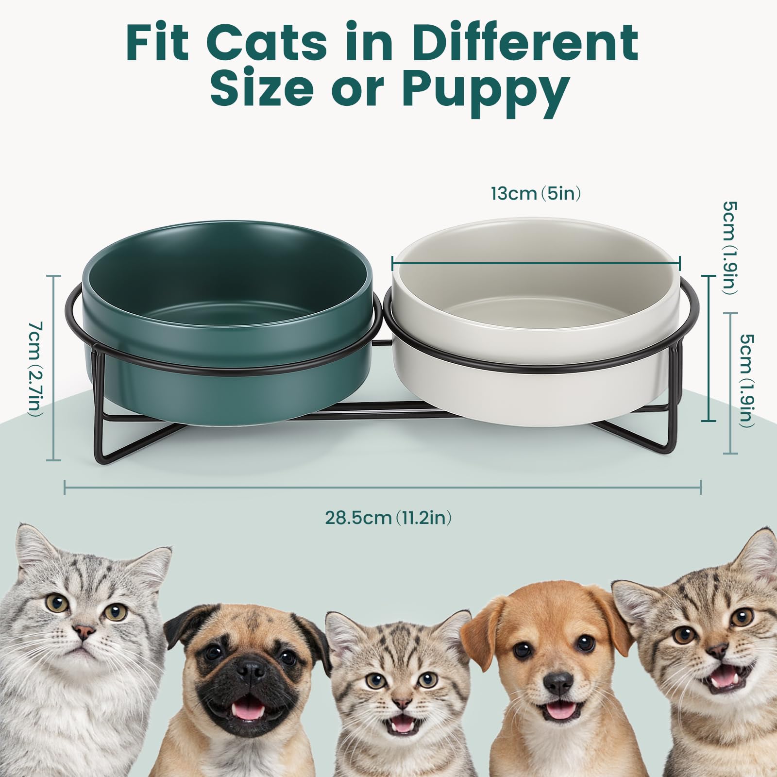 PETTOM Gamelle Chat Céramique Surélevée Double 2x400ml, Bol Chat avec Support Métal Anti Renversement pour Croquette Eau, Vert+Gris