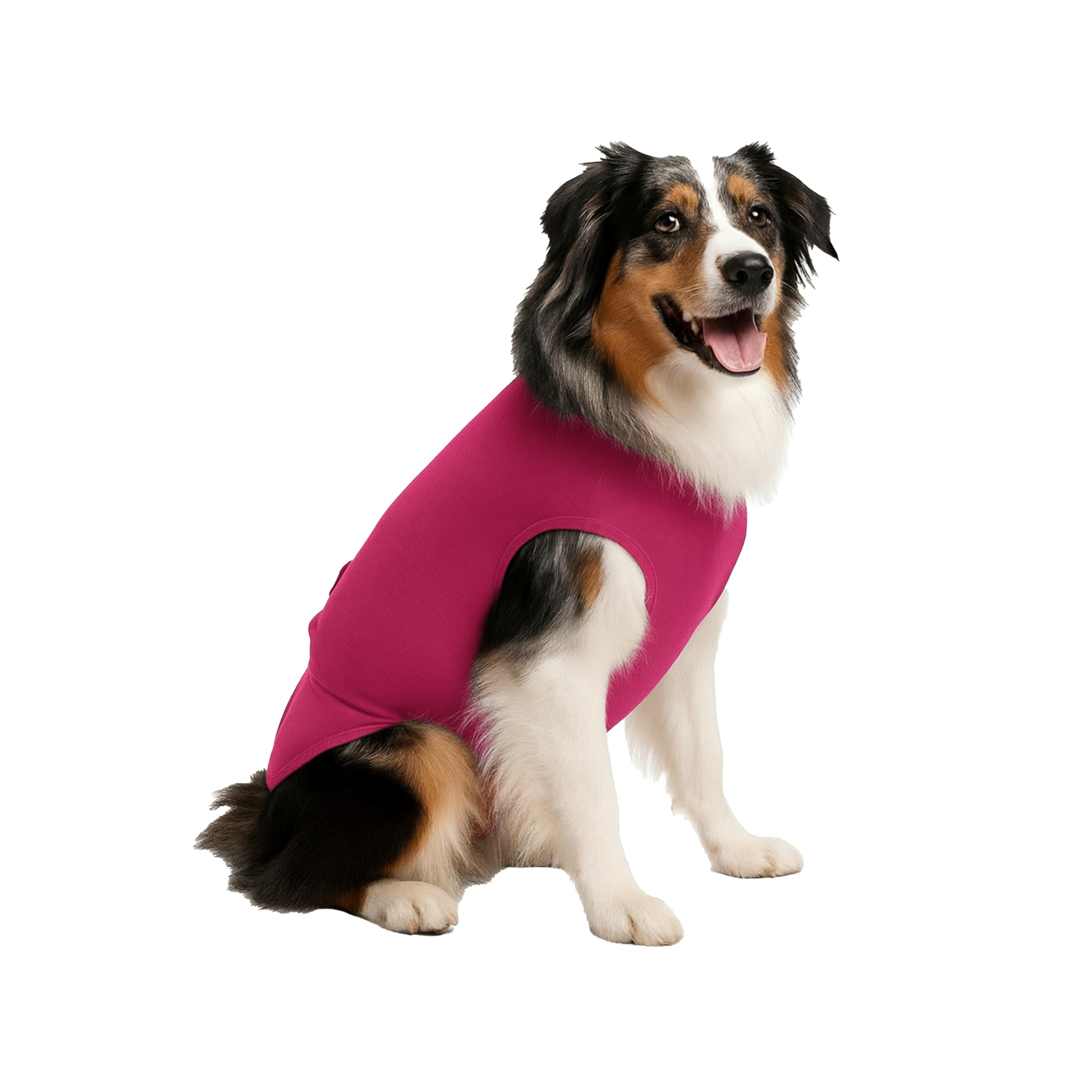 Pink Medium – Pañal para mascotas, compatible con perros machos, inventado por un veterinarain – aprobado por veterinarians-PI-M-DK
