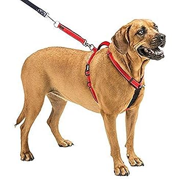 canine equipment no pull harness