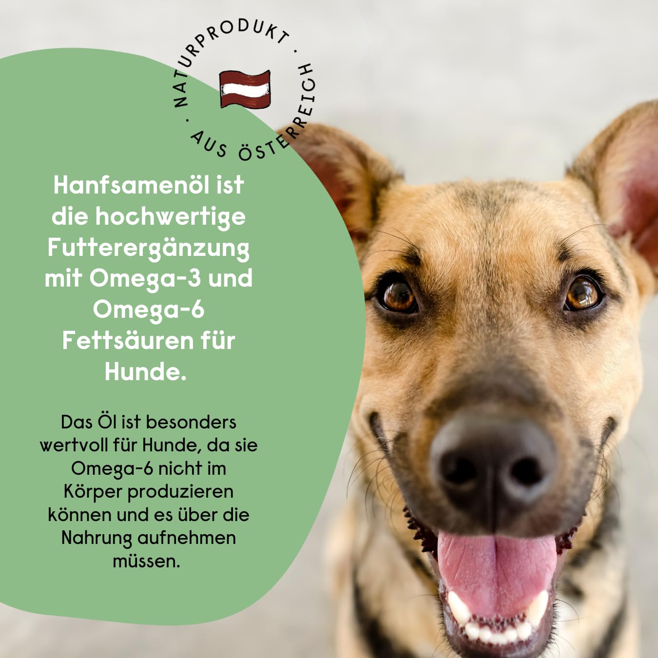 Hanfsamenöl, Kaltgepresst, natürliche Futterergänzung, Omega 3, Omega 6 Fettsäuren für Hunde, Vegan, Österreichisches Qualitätsprodukt (4 x 250ml)