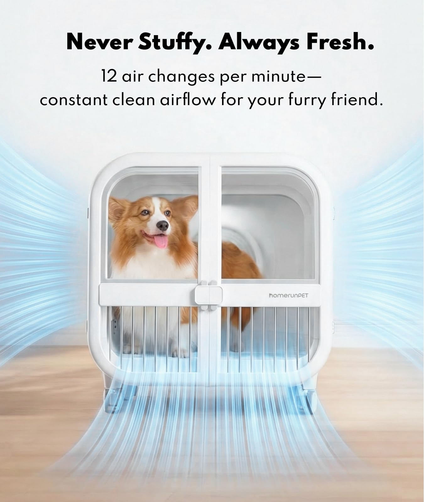 Amazon.com: HomeRunPet 135L Smart Pet Dryer Box for Medium Dogs