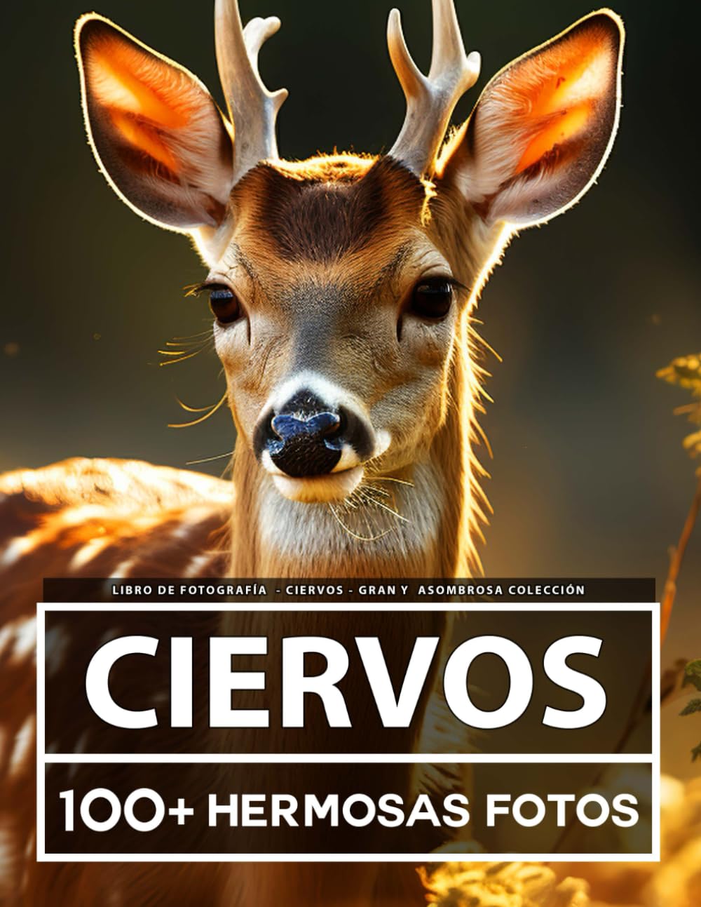 Libro De Fotografía - Ciervos - Gran y Asombrosa Colección: 100 Hermosas Fotos En Este Fantástico Libro De Fotos De Ciervos - Para Niños y Adultos