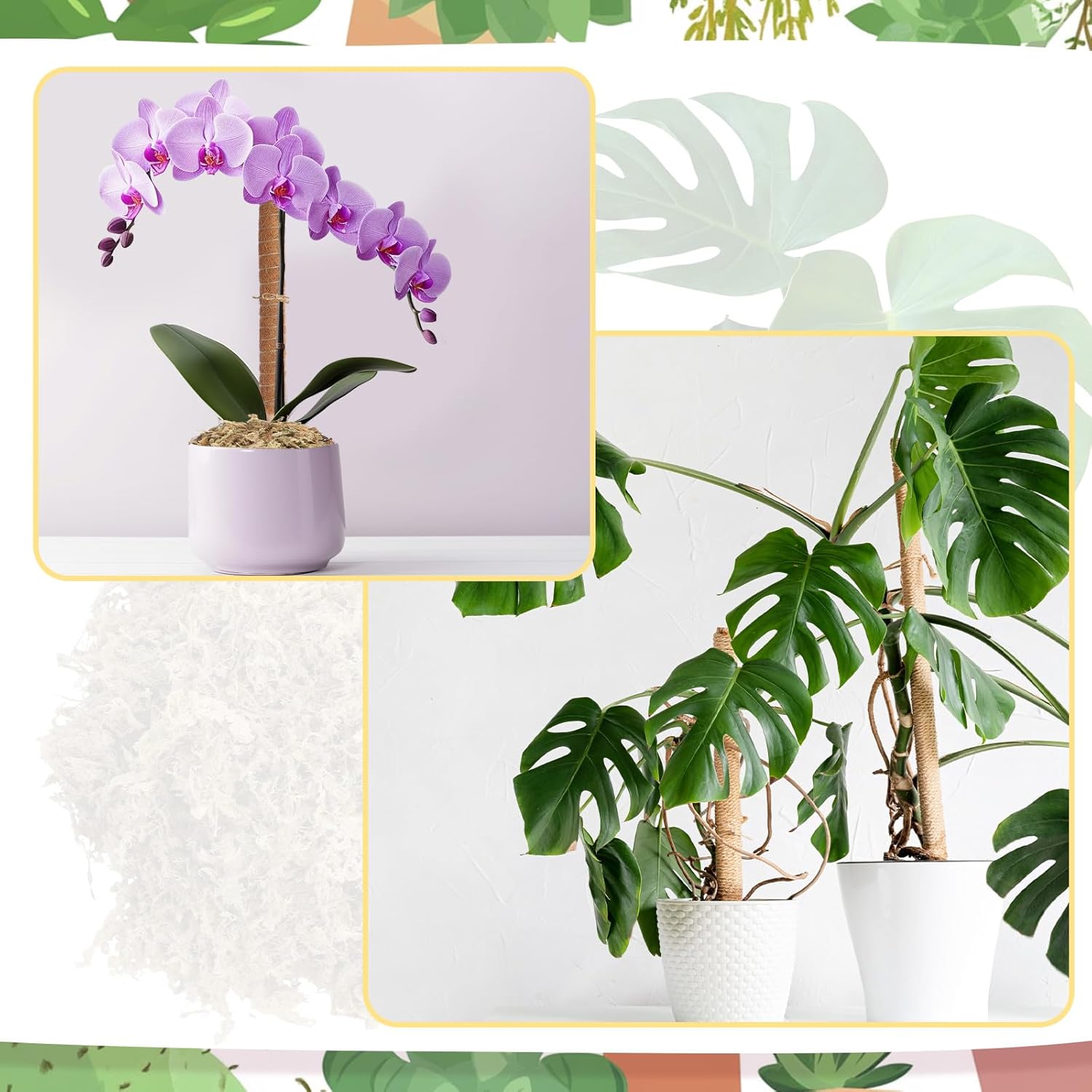 118 Inch Stackable Moss Pole for Monstera Potted Plant Stakes - 6 Pack 19 Inch Plant Pole Stick for Plants Climbing Vine Supporting Monstera with Decorative 3.5 oz Pale Green Moss Crafts