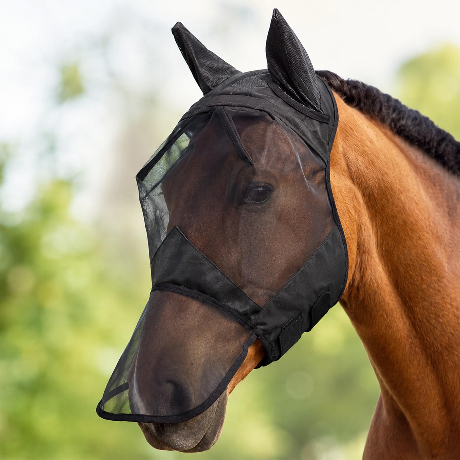 Fly Mask for Horses with Ears and Nose Cover, Breathable Mesh, Black
