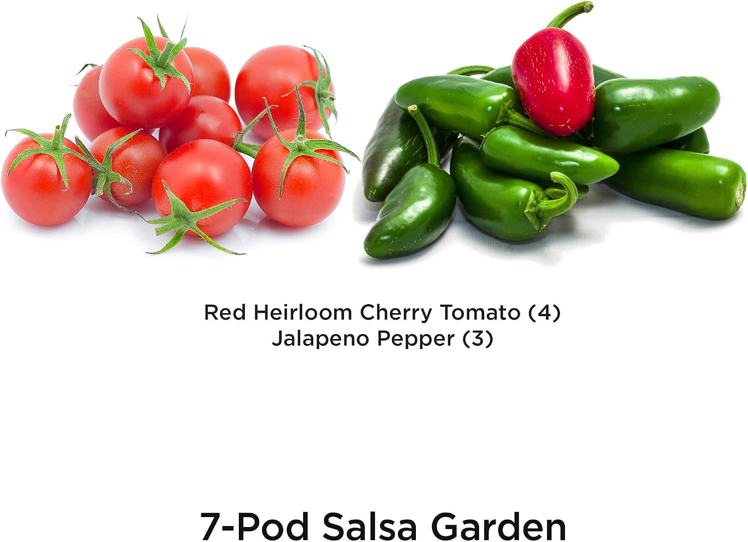 AeroGarden Salsa Garden Seed Pod Kit, 7