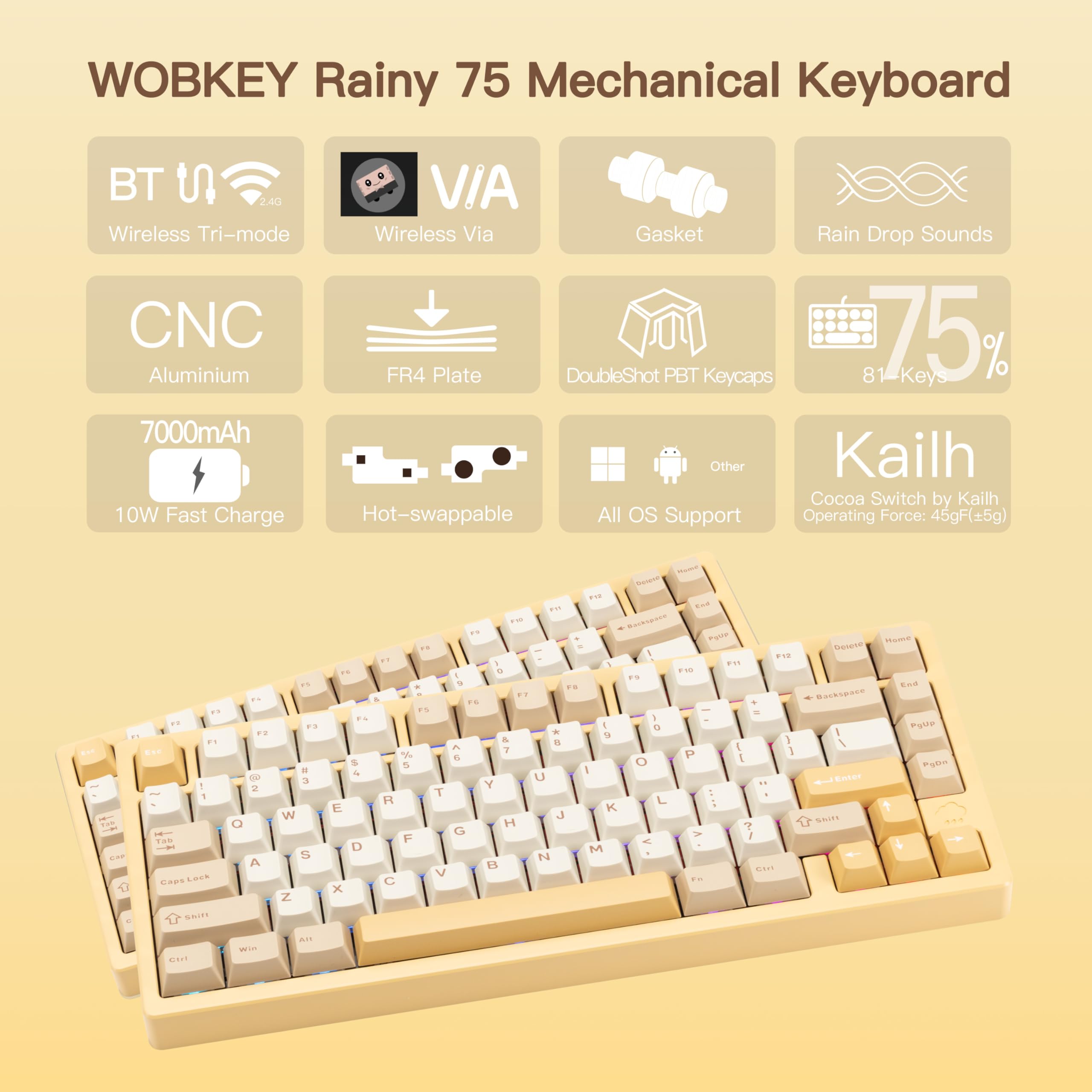 【新品】 WOBKEY Rainy75 Proモデル シルバー Rainy75 Pro Silver | キーボード | キーボード | 入力機器 | PC
