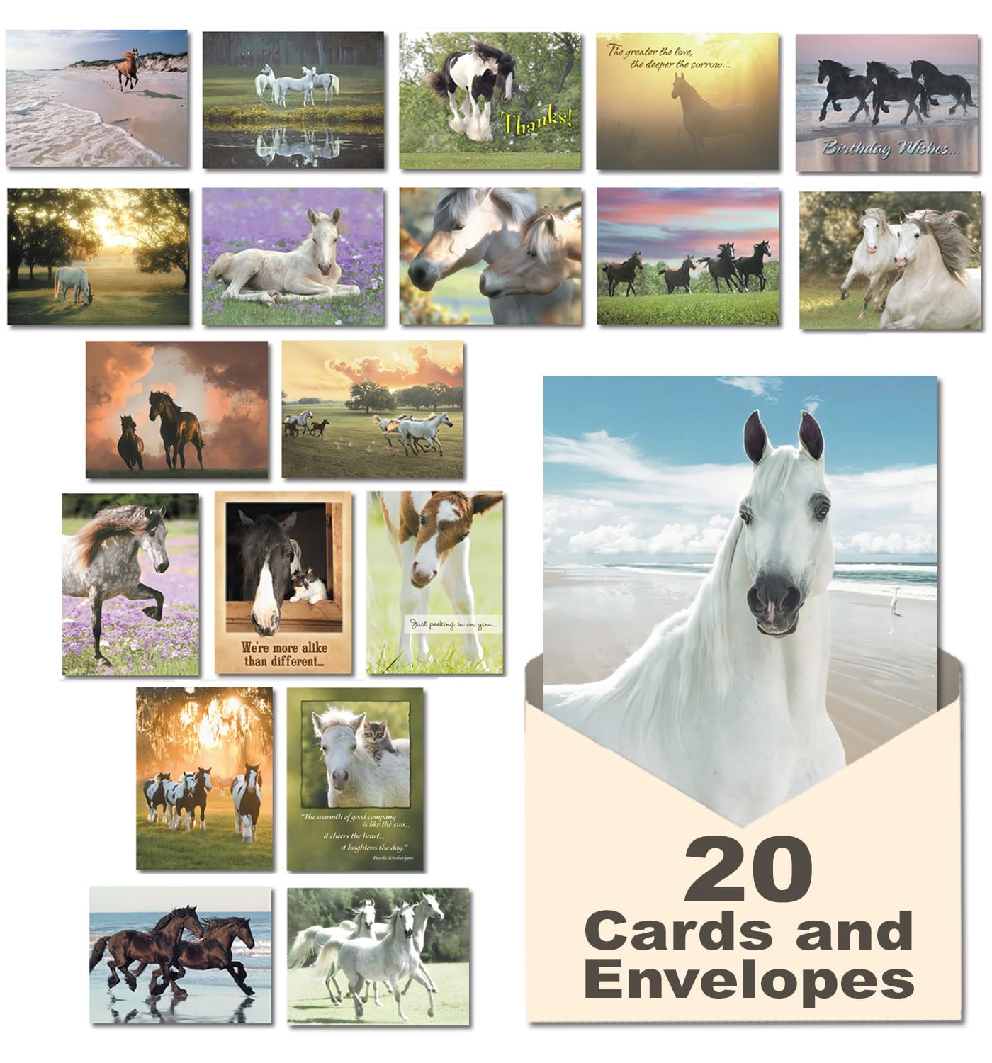 Amazon.com : Leanin' Tree Horse Country - Made in USA - 20