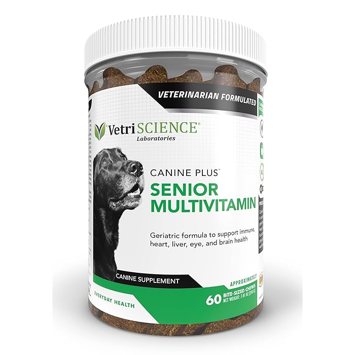 Buy VETRISCIENCE Canine Plus MultiVitamin for Senior Dogs Vet