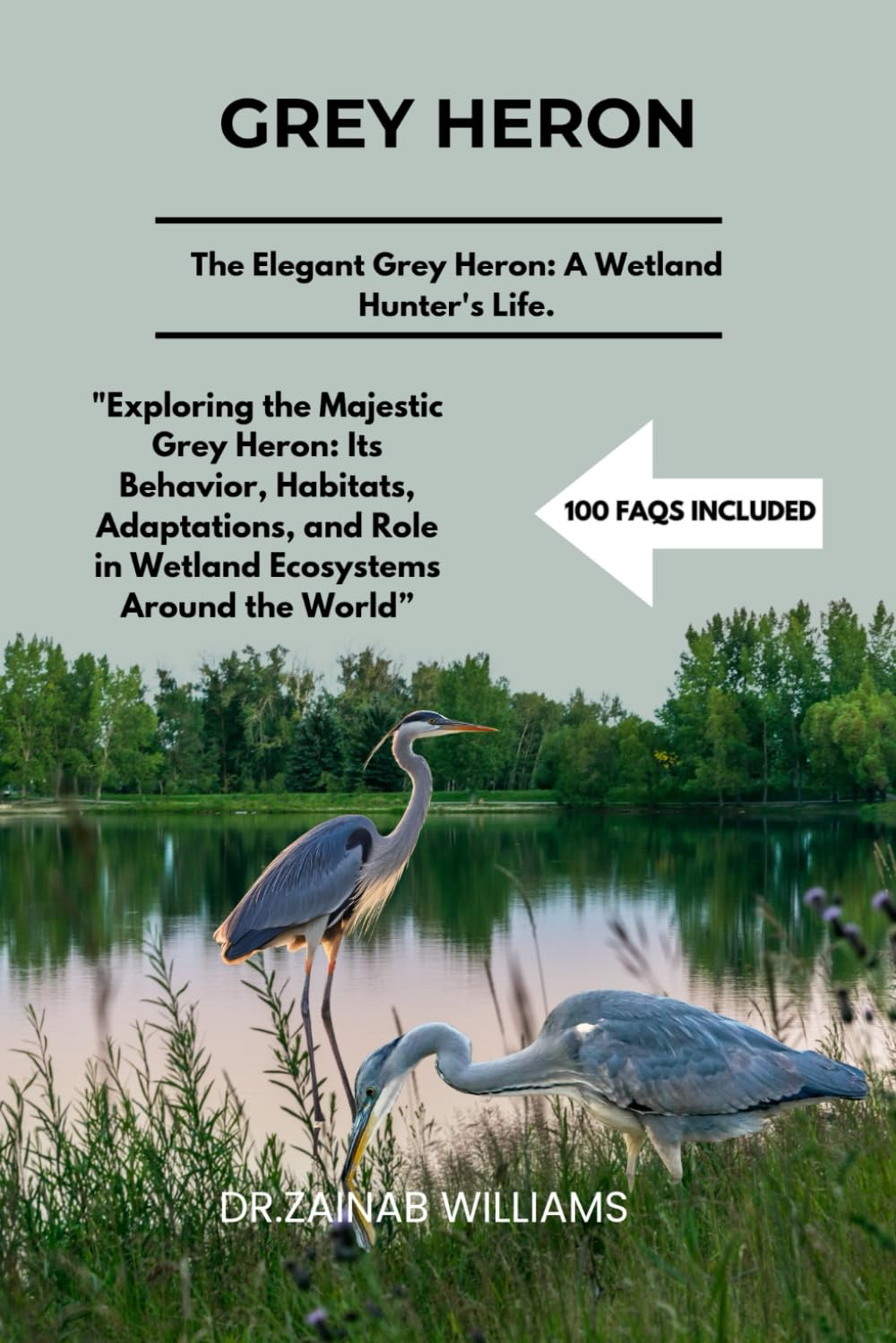 GREY HERON: "Exploring the Majestic Grey Heron: Its Behavior, Habitats, Adaptations, and Role in Wetland Ecosystems Around the World”a