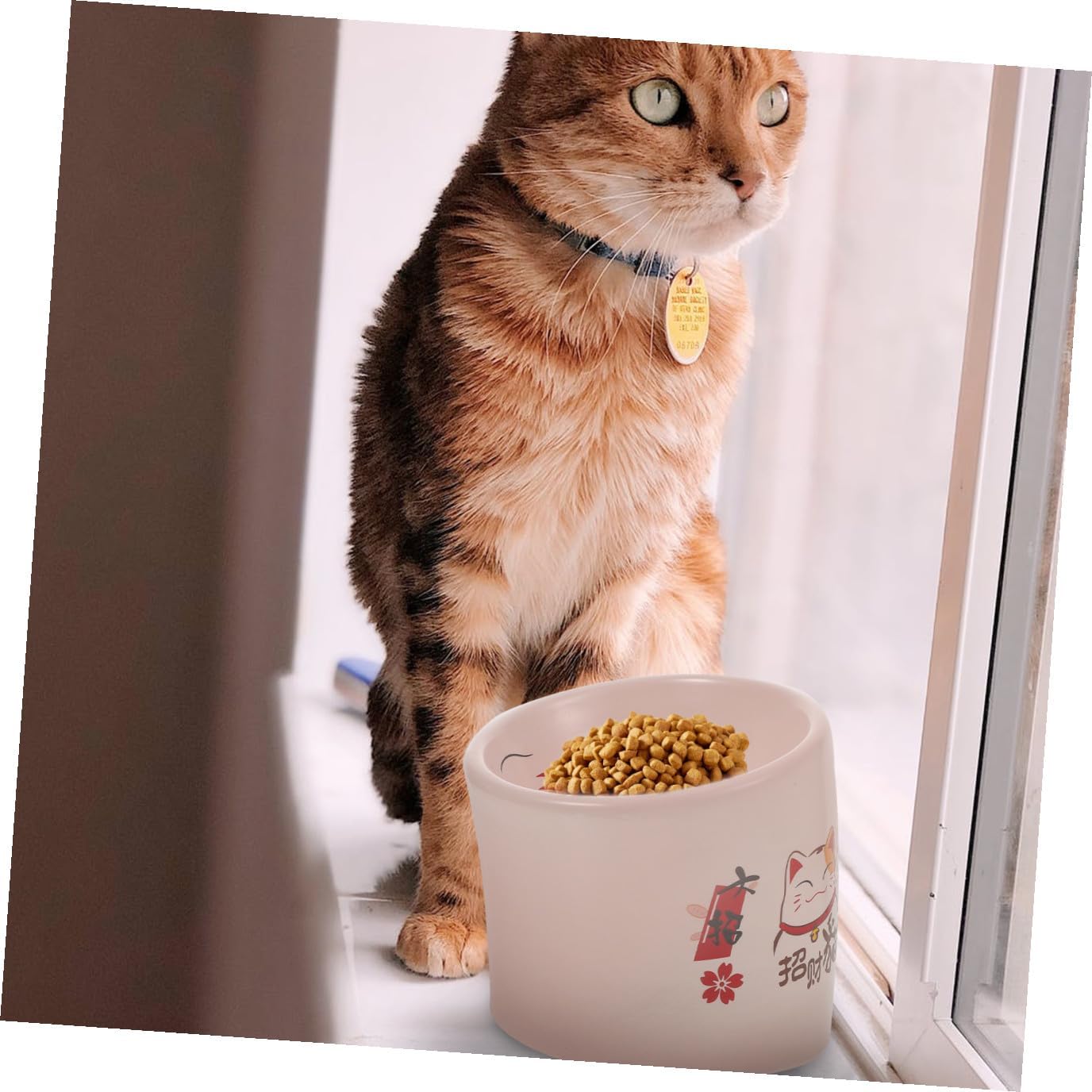 balacoo 1pc Non- Elevated Ceramic Cat Bowl Tilted Design for Comfortable Feeding Drinking Easy to Pet Dish for Cats Puppies Spill Resistant Base
