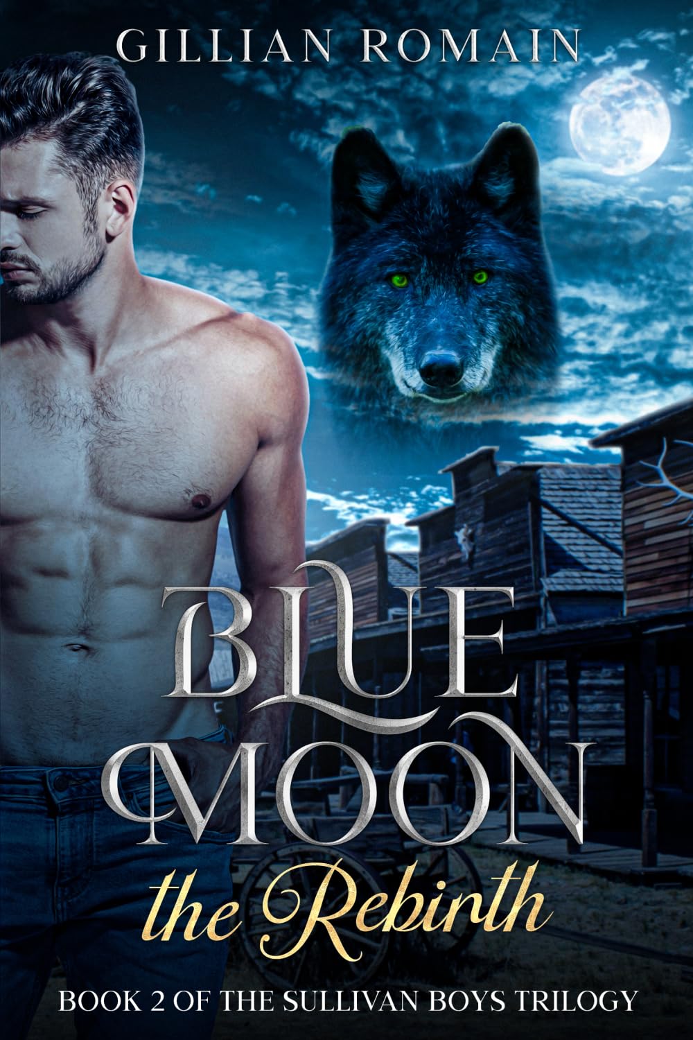 Blue Moon the Rebirth: Book Two of The Sullivan Boys Trilogy