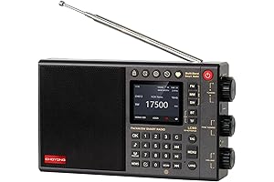 choyoung lc90 Portable Digital Internet Radio