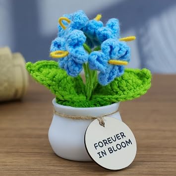 MSEHKM Encouragement Crochet Flowers with Positive Wooden Affirmations Handmade Artifical Flower Decor Ideal for Birthday/Christmas/Thank You Present Blue Forget Me Not, Forever in Bloom