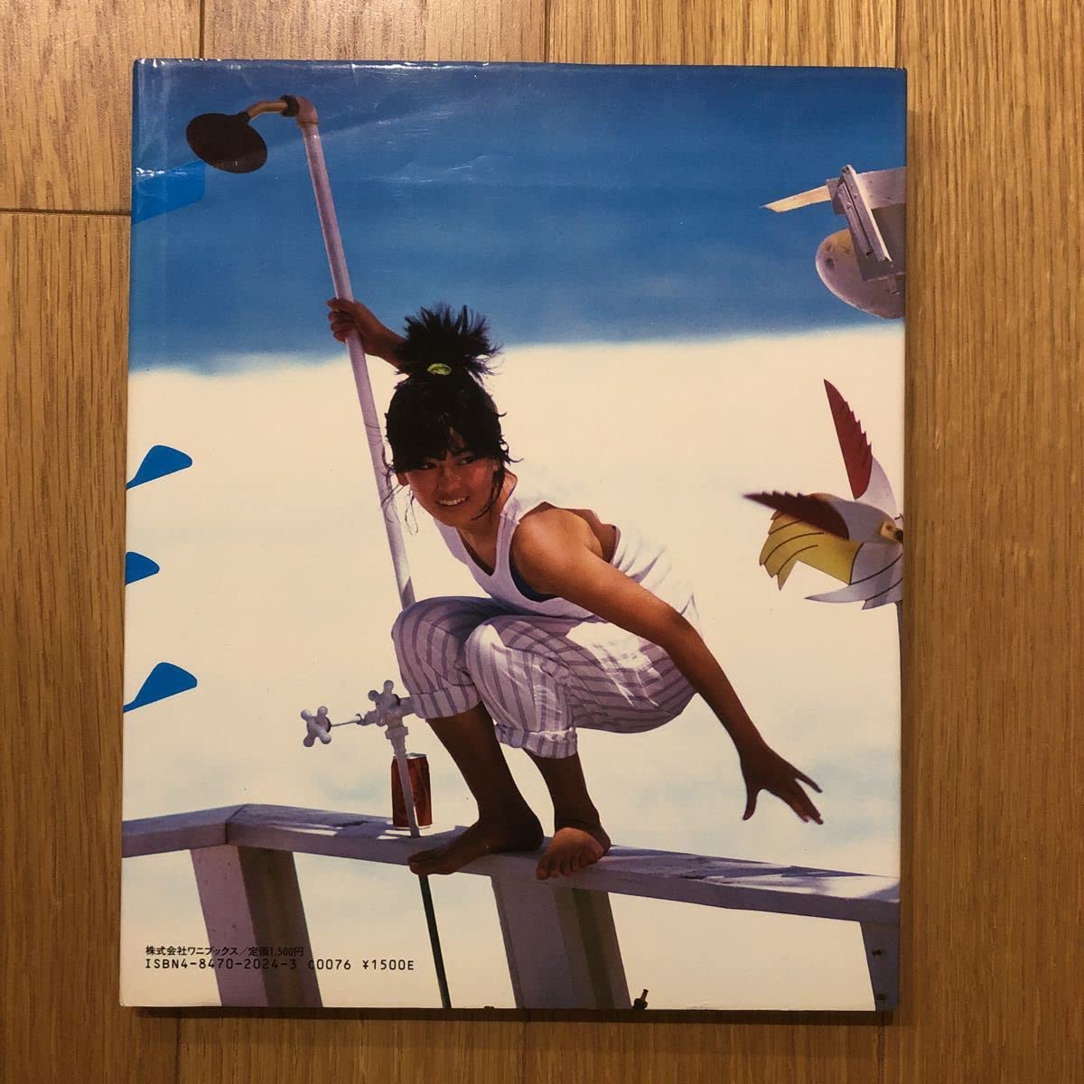 Amazon.co.jp: 中山美穂 写真集 一生懸命 : おもちゃ