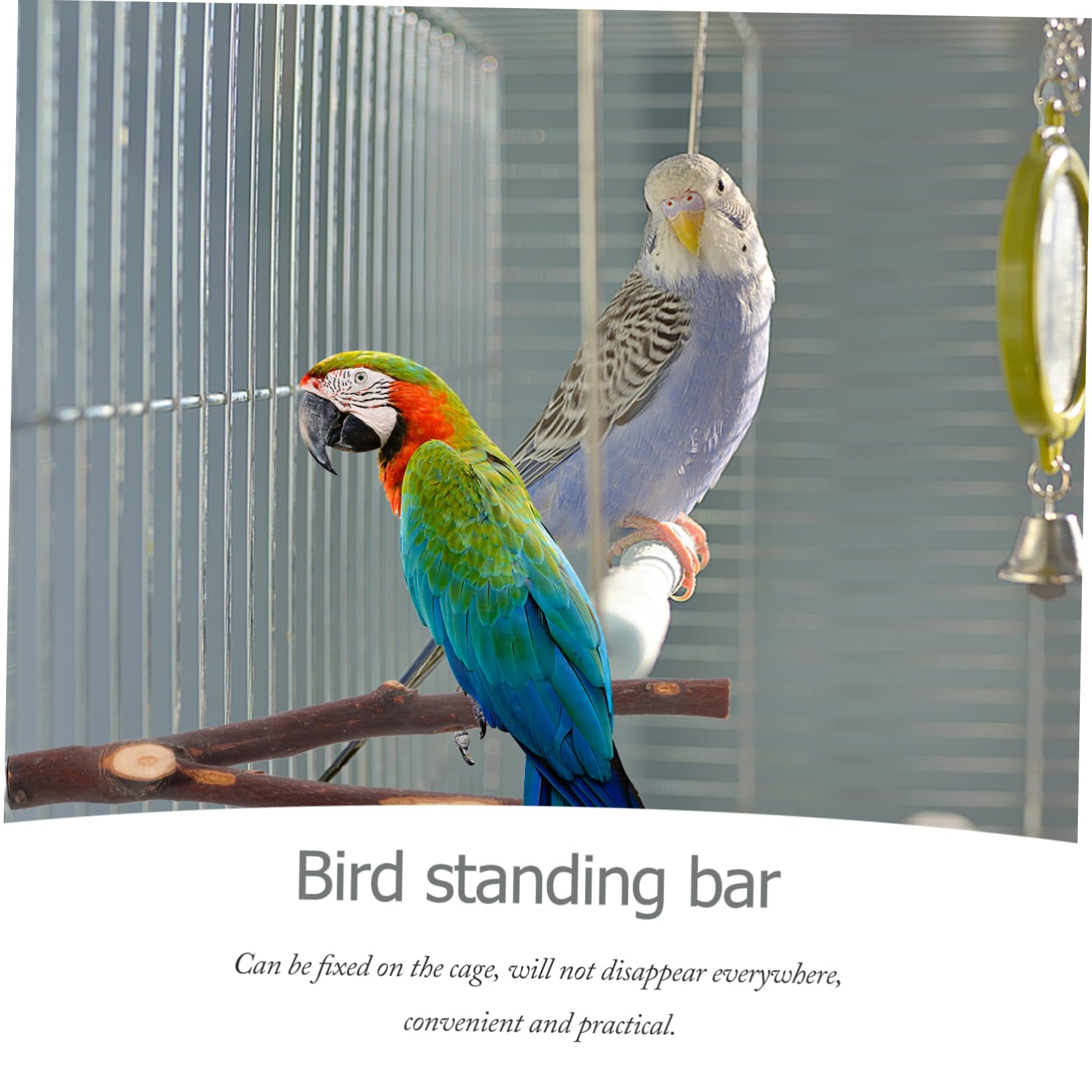 JOINPAYA 4Pcs Bird Perch Stand Rod for Parrots Budgies and Lovebirds Durable Bird Cage Accessories for Exercise Climbing and Resting Natural Chew for Pet Birds