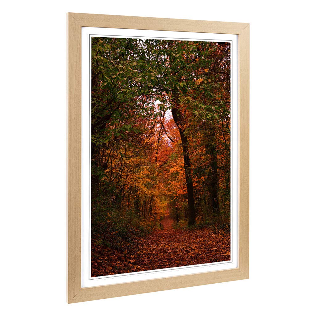 Big Box Art Framed Print of Autumn Forest Woodland Path Design | Wall Art Picture | Home Decor for Kitchen, Living, Dining Room, Bedroom, Hallway, Office, Oak, A2 / 24.5x18 Inch / 62x45cm