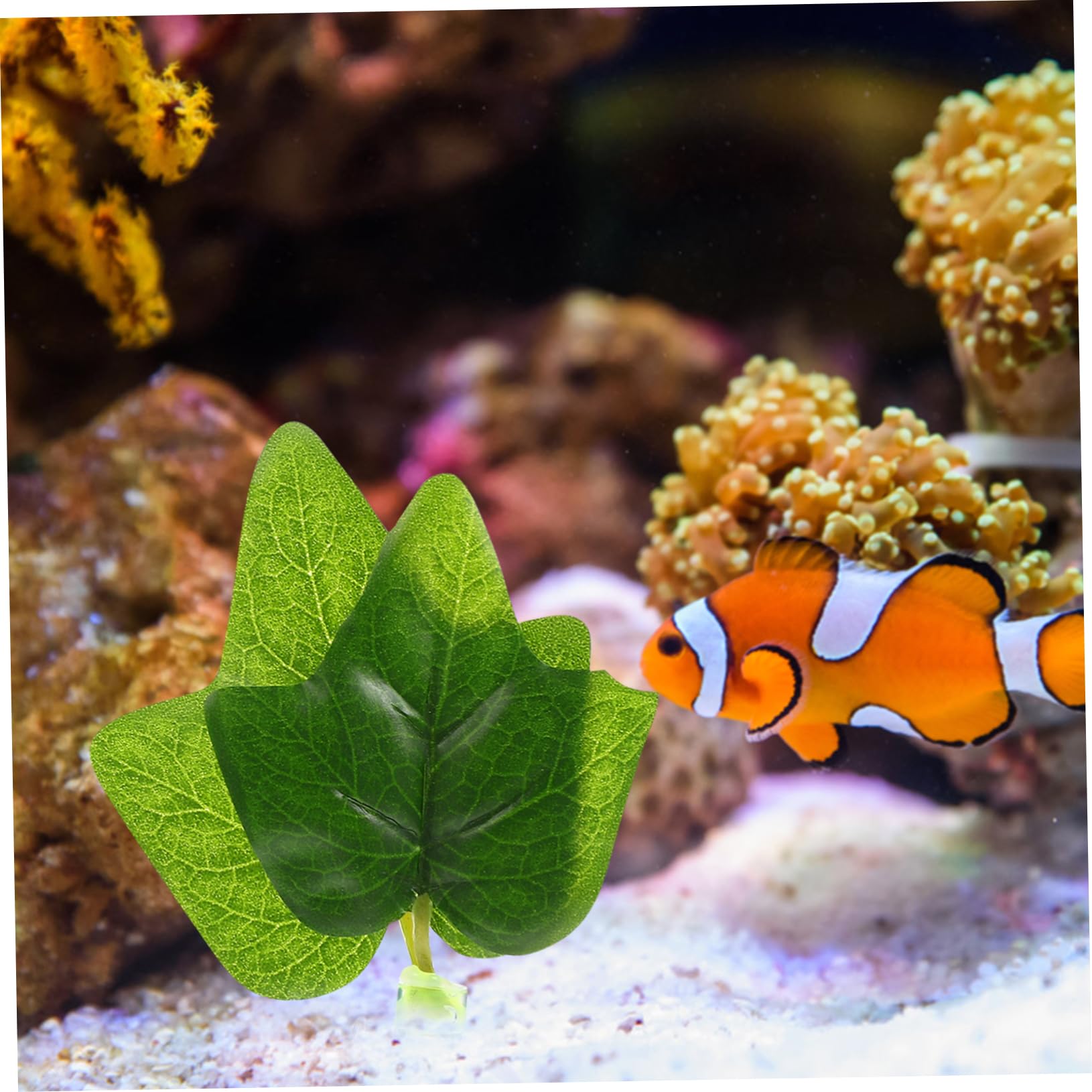 Kisangel 20stücke Künstliche Pflanzen Für Aquarium Realistische Kunststoff-Dekoration Für Fisch Und Reptilientanks Geeignet Für Süß Und Salzwasser Pflegeleicht Und Sicher Für Tiere