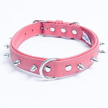 Angel Pet Supplies Spiked Studded Leather Dog Collar, 20