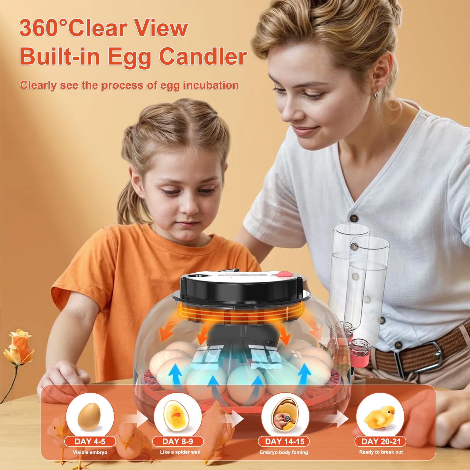 Incubatrice automatica per uova, 12 incubatrici per uova da cova con tornitore automatico e display dell'umidità, incubatrice a 360 visualizzazioni per polli, anatre, oche, quaglie