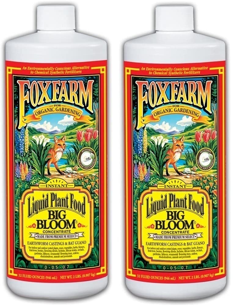 FX14002 Big Bloom Liquid Concentrate, 1 Quart, Original, (2 Pack)